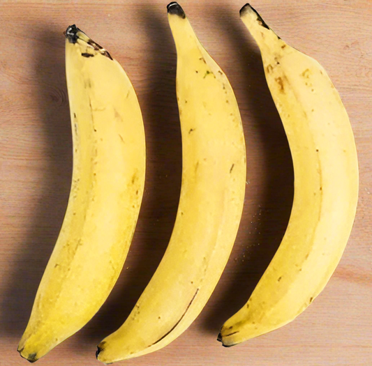 YELLOW PLANTAINS 3 - PACK